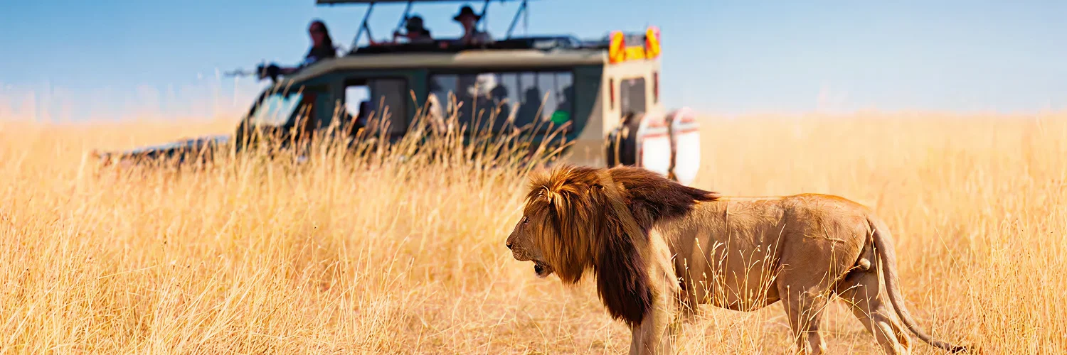 PARK-SERENGETI-NATIONAL-PARK-SERONERA-AREA 1.webp